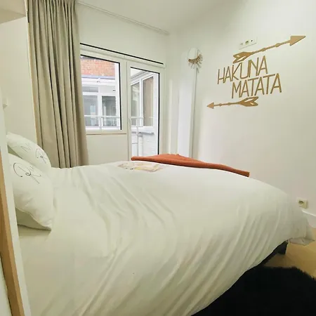 Appartement Maison Casino Kursaal Oostende